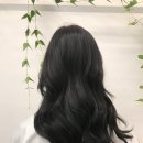 우리들미용실 이미지