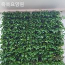 신흥전문요양원 | 인천 중구 요양원 축복요양원 추천 후기