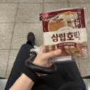 메가엠지씨커피원주우산점 | 26.07.18