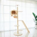 오로라 캣 | 다묘 가정 집사님들 주목! 가르르 오로라 캣타워, 왜 최고인지 알려드릴게요.