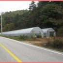 인제03-3 이미지