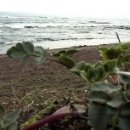 석근농장 이미지