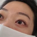 더골든라인 이미지