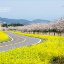 축제노래연습장 이미지