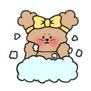 땅콩 동물병원 이미지