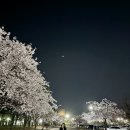 카페에리카