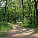 봉산2로 이미지