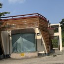 동춘서커스 공연장 | 서울근교 드라이브 이색데이트 대부도 동춘서커스 관람 후기