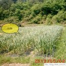 하촌농장 이미지