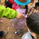 우두나무어린이집 - 우두로 이미지