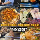 보수종합시장 | 맛집 추천 "소일창"부민점 동아대부민캠퍼스 가성비 맛집 ! 가성비 좋은 부산깡통시장맛집 부산중구맛집