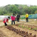 구로-구로-구로-28 이미지