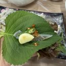 봉자네 | 영흥도 해산물 맛집 봉자네 횟집 신선도 최고였던 후기 공유