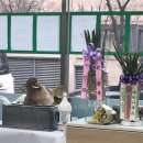 New중흥공인중개사사무소 이미지