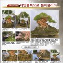 정언 이미지