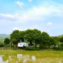 1155민박펜션 이미지