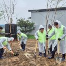 용태목장 이미지