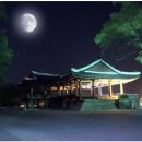 죽향