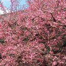 한아름홈쇼핑(주) 이미지