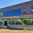 영암곤충박물관 이미지