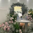 탈리 | [웨딩홀] 수서/판교 밝은 홀 메종디탈리 홀 투어 후기