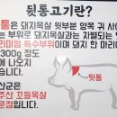 연산군뒷통