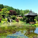 아침고요치유의 숲 이미지