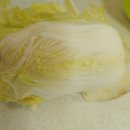 사나물농장 이미지