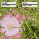 정도모바일 이미지