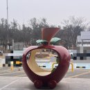 현풍휴게소(하행)창원방향 | 휴게소 맛있는 간식 충주휴게소 하행(창원)방향 사과빵 먹어 본 후기