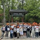 대가야센터-9 이미지