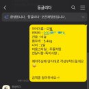 둥글리다 이미지