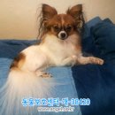 우강초등학교 이미지