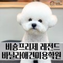 바닐라애견미용학원 - 순천시 중앙로 242-1 | 바닐라애견미용학원