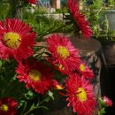 칠보중학교 이미지