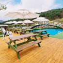 애견카페,애견유치원 멍선생 이미지