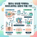 양산달약국 | 도미나크림 가격 및 약국 구매 팁과 실제 사용후기 분석