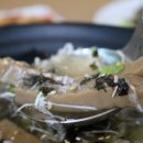 불만난쭈꾸미 이미지