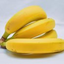 바나나짐 이미지