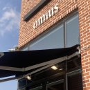 세종시 고운동 카페 ☕️ 옴누스 omnus 🪵