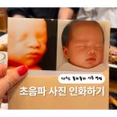다이소 폴라폴라 포토카드 만드는 방법 입체초음파 출력 부모님 선물