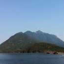 푸르른삶의노래 이미지