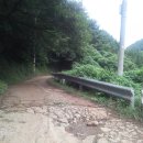 용산사슴농장 이미지