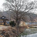 안동공조(주) | 의성군 - 의성 이계당, 의성 서계당, 의성 소계당