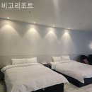비고리조트 10 이미지
