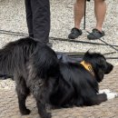 러빙네이쳐 이미지