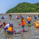 바다, 생명을 담다 이미지