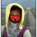 금별농장 이미지