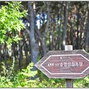 해여울 | 경남가족여행어디로가야할까 해여울펜션살펴보는데요?오똘까요?