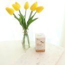 엘로이 동물병원 | 기호성 좋은 강아지 요로결석 영양제 마이펫닥터 엘로이레날 추천해 :)